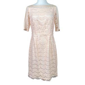 Antonio Melani Soft Pink Lace Dress Size 6 Silk